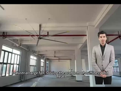 5Okul ve spor salonlarındaki en iyi hava dolaşımı için.0M 16FT büyük fanlar