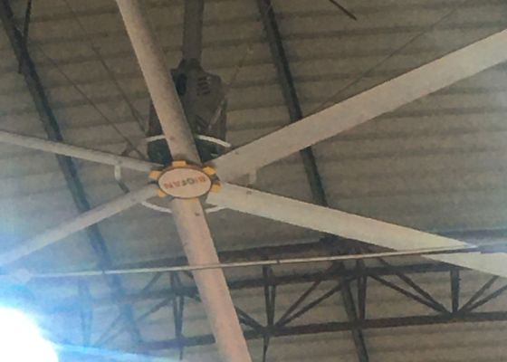 İyi bir fiyat. 7.3m Endüstriyel Dev Tavan Ventilatörü Kapalı Basketbol Sahası Soğutma Havalandırması çevrimiçi