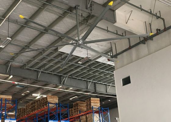 İyi bir fiyat. Alüminyum 1.5kw Motor Büyük Paddle Dev Tavan Fanları Depo için 380AC çevrimiçi