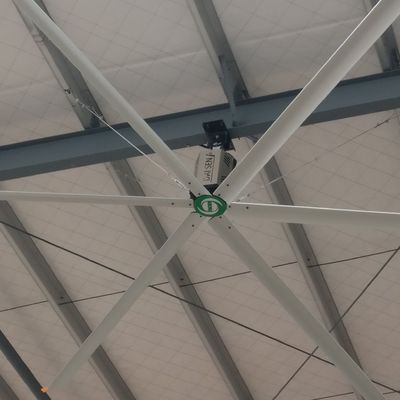 İyi bir fiyat. Soğutma Havalandırma Büyük Odalar İçin 24FT Delek Kutusu Tavan Fanları çevrimiçi
